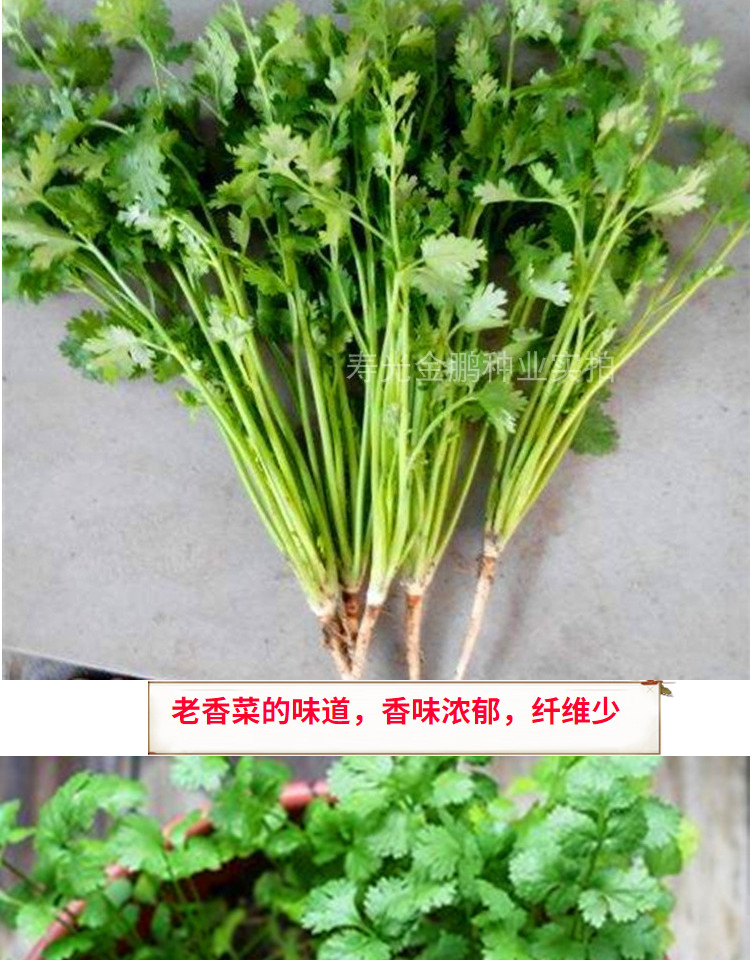 O1CN01JnLlOy1vTk6UCduGk_!!2214975726174.jpg