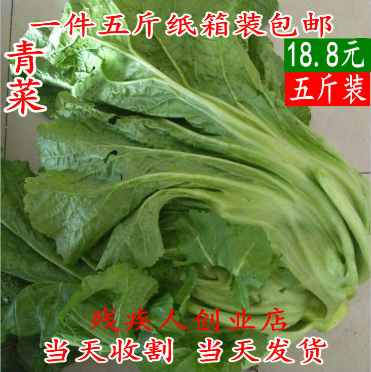 O1CN01TKuCrg1vP9vyWZBJu_!!3611266164.jpg
