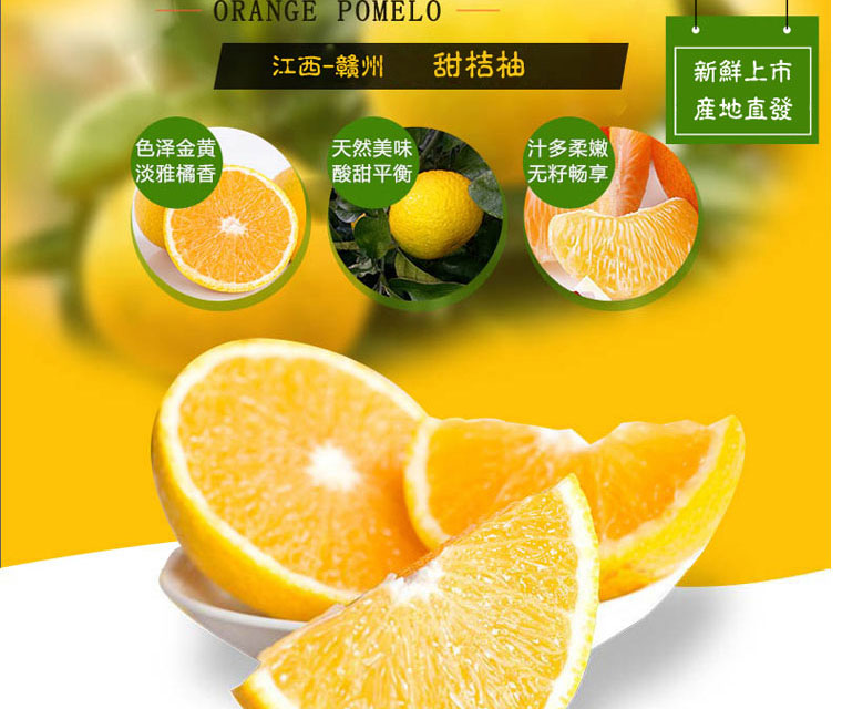 O1CN011EzlznsTQSXxSFV_!!4096100423.jpg